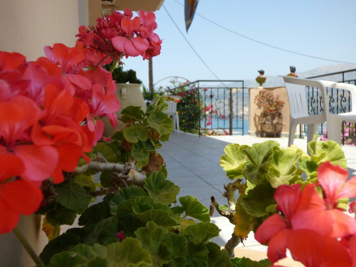 Anna Apartments Argostoli (Kefalonia) Exterior foto
